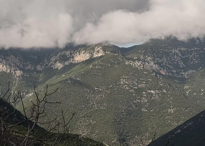 The Ridgehouse Artemisía